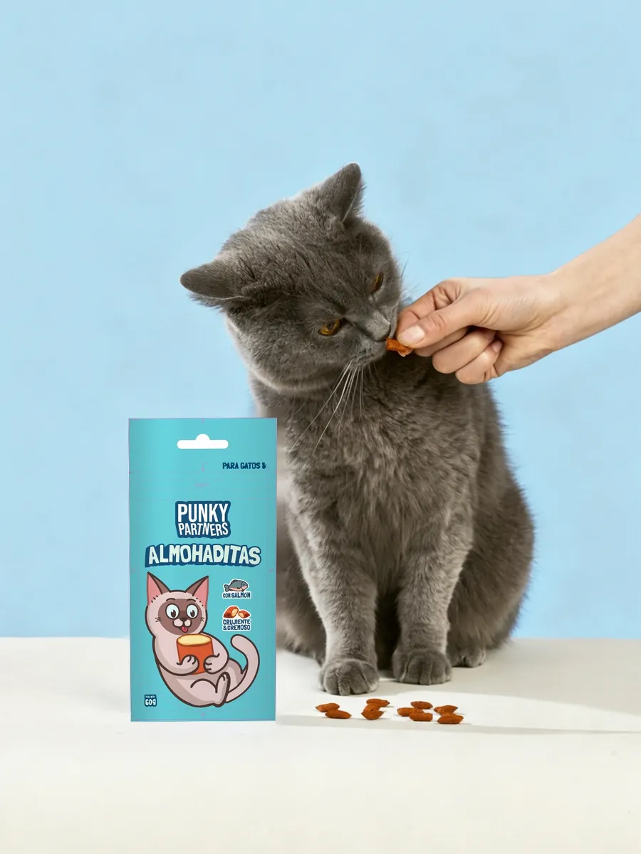Un gato gris recibe una Almohadita de salmón