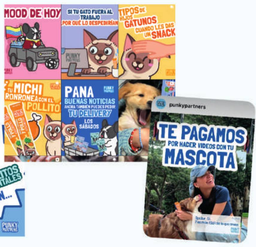 Publicaciones de Punky Partners en redes
