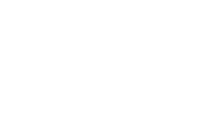 Punky Partners