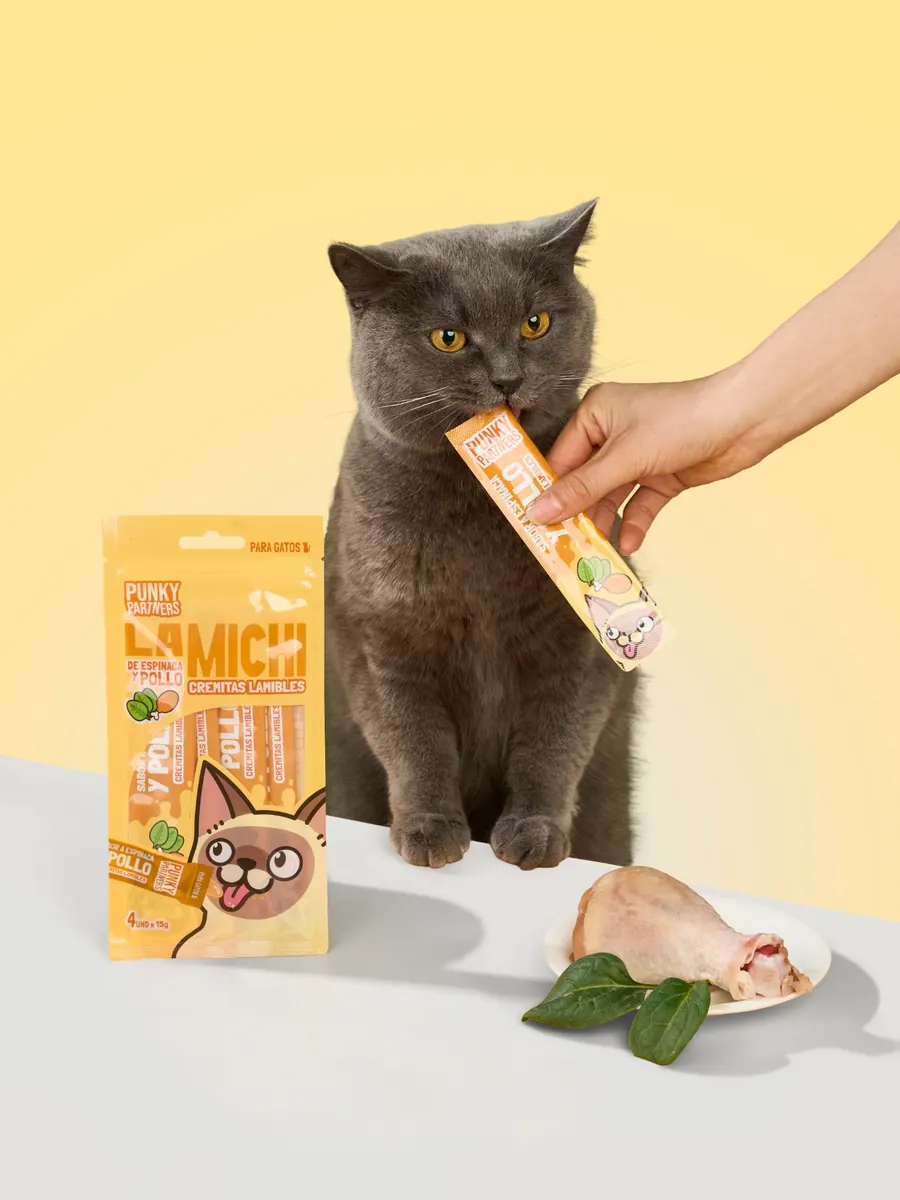 Gato gris con Lamichi de pollo junto al paquete